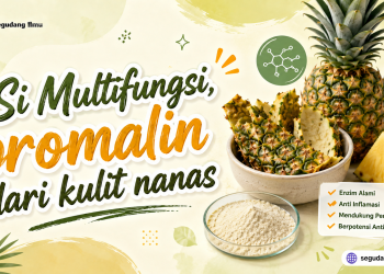 Si Multifungsi, bromalin dari kulit nanas