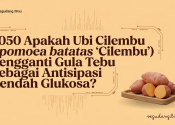 2050 Apakah Ubi Cilembu (Ipomoea batatas ‘Cilembu’) Pengganti Gula Tebu Sebagai Antisipasi Rendah Glukosa?