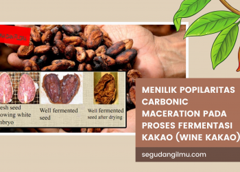 Menilik Popilaritas Carbonic Maceration pada Proses Fermentasi Kakao (Wine Kakao)