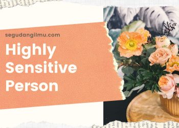 Highly Sensitive Person