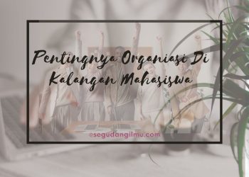 Pentingnya Organisasi dikalangan Mahasiswa