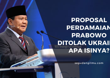 Proposal Perdamaian Prabowo Ditolak Ukraina, Apa Isinya?