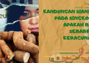 Kandungan Sianida pada Singkong, Apakah Bisa Sebabkan Keracunan?