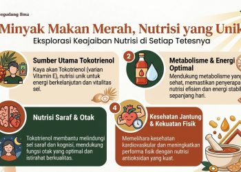 Minyak Makan Merah, Nutrisi yang Unik