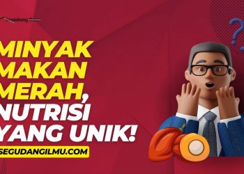 Minyak Makan Merah, Nutrisi yang Unik