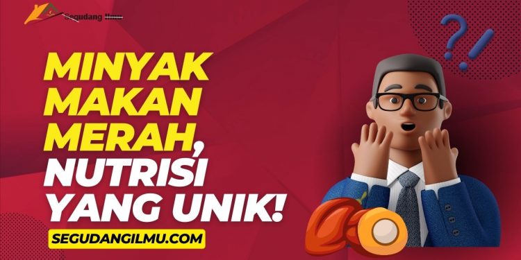Minyak Makan Merah, Nutrisi yang Unik