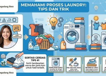 Memahami Proses Laundry: Tips dan Trik