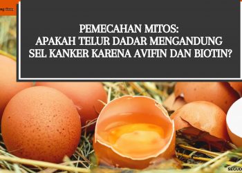 Pemecahan Mitos: Apakah Telur Dadar Mengandung Sel Kanker Karena Avifin dan Biotin?