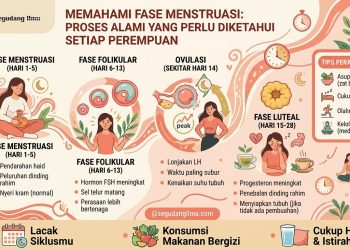 Memahami Fase Menstruasi: Proses Alami yang Perlu Diketahui Setiap Perempuan