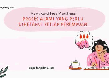 Memahami Fase Menstruasi: Proses Alami yang Perlu Diketahui Setiap Perempuan