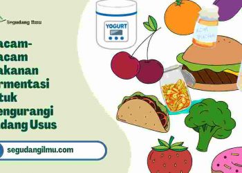Macam-Macam Makanan Fermentasi untuk Mengurangi Radang Usus