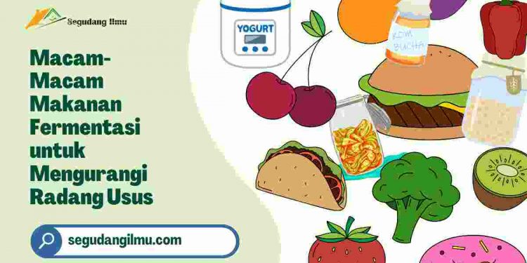 Macam-Macam Makanan Fermentasi untuk Mengurangi Radang Usus