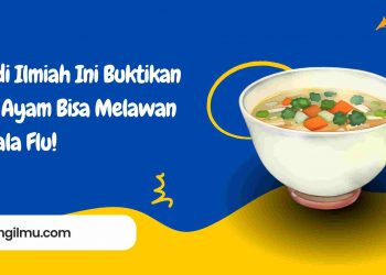 Studi Ilmiah Ini Buktikan Sop Ayam Bisa Melawan Gejala Flu