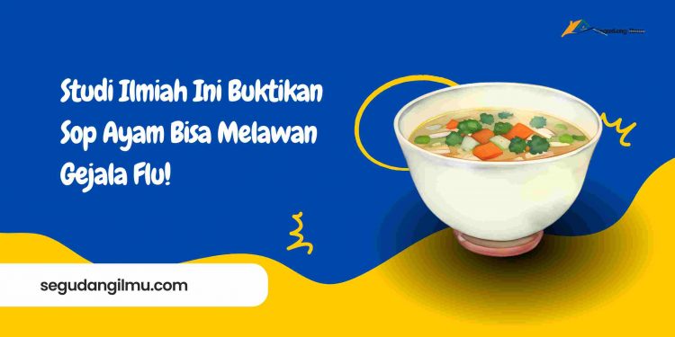Studi Ilmiah Ini Buktikan Sop Ayam Bisa Melawan Gejala Flu