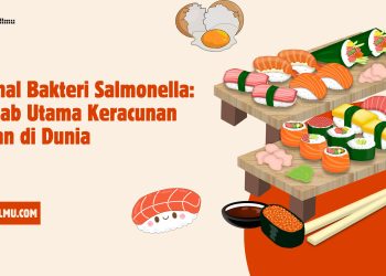 Mengenal Bakteri Salmonella: Penyebab Utama Keracunan Makanan di Dunia