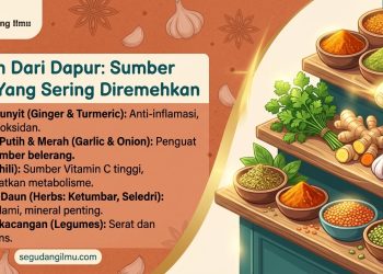 Vitamin Dari Dapur: Sumber Alami Yang Sering Diremehkan