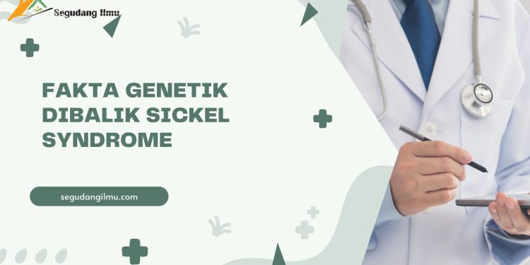 Fakta Genetik Dibalik Sickel Syndrome