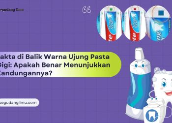 Fakta di Balik Warna Ujung Pasta Gigi: Apakah Benar Menunjukkan Kandungannya?