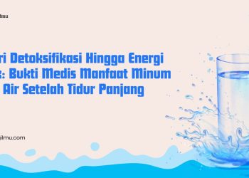 Dari Detoksifikasi Hingga Energi Otak: Bukti Medis Manfaat Minum Air Putih Setelah Tidur Panjang