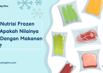 Fakta Nutrisi Frozen Food: Apakah Nilainya Sama Dengan Makanan Segar?