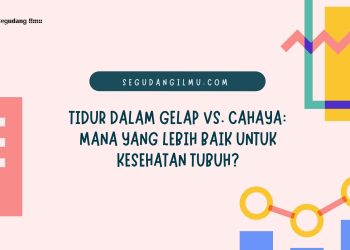 Tidur dalam Gelap vs. Cahaya: Mana yang Lebih Baik untuk Kesehatan Tubuh?
