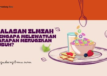 5 Alasan Ilmiah Mengapa Melewatkan Sarapan Merugikan Tubuh?