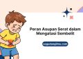 Peran Asupan Serat dalam Mengatasi Sembelit