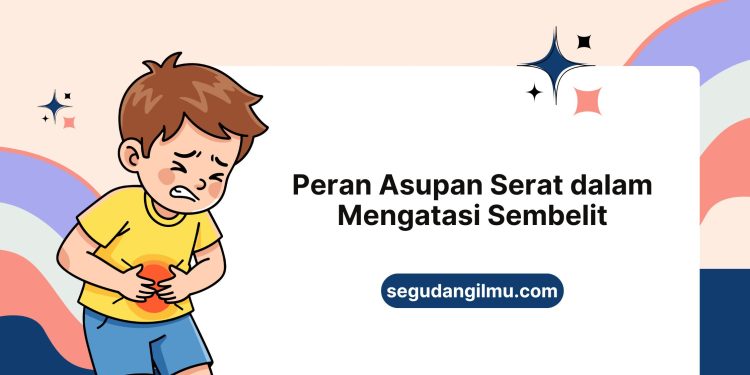 Peran Asupan Serat dalam Mengatasi Sembelit