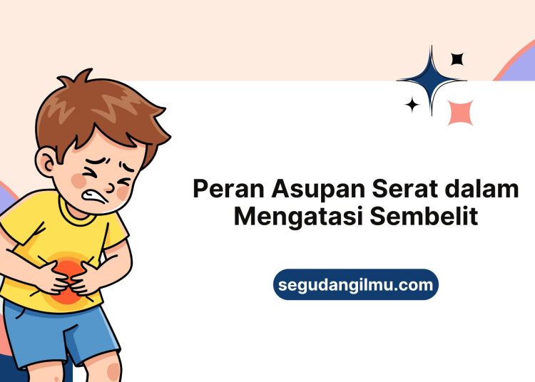 Peran Asupan Serat dalam Mengatasi Sembelit